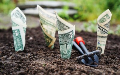 Boutique Marketing Agency vs. Large Marketing Firm: What’s the Real Difference?