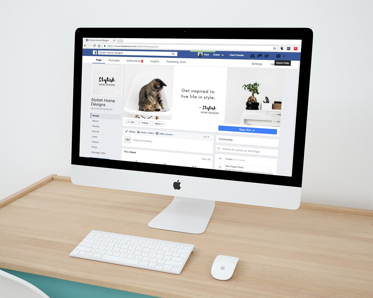 Web design